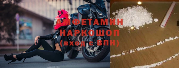 прущие грибы Верхний Тагил