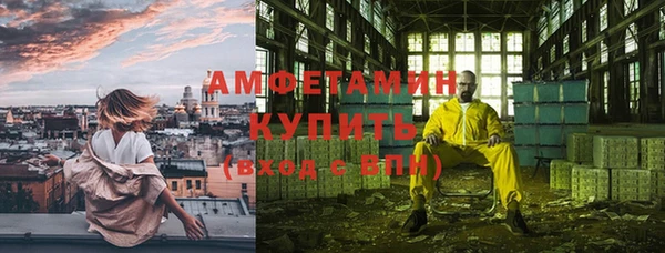 прущие грибы Верхний Тагил