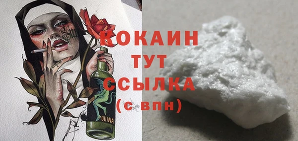 прущие грибы Верхний Тагил