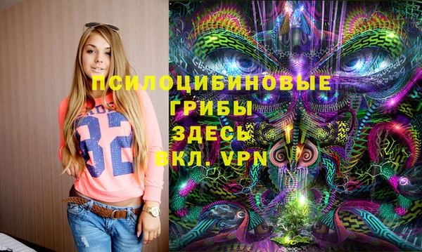 прущие грибы Верхний Тагил