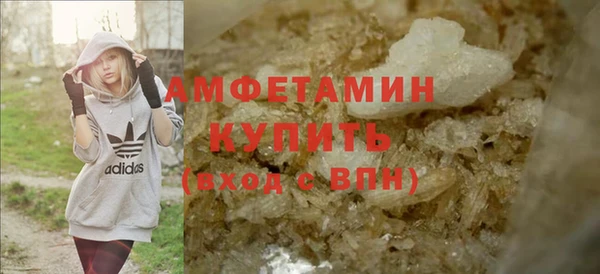 прущие грибы Верхний Тагил