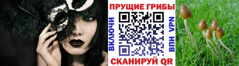 купить наркотики сайты нарко площадка телеграм Галлюциногенные грибы мухоморы Закаменск OMG ONION